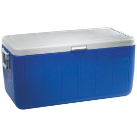 use an insulated cooler to keep your dye reactions warm