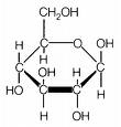 glucose molecule