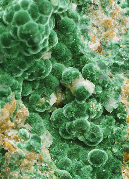 bulgy round crystals of natural malachite, from the Würzburg Mineralogical Museum