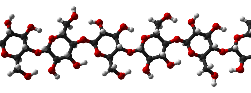 cellulose molecule...this public-domain image created by Ben Mills and found on Wikipedia