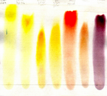scanned paper chromatogram of yellow cold water dyes